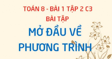 Bài tập mở đầu về phương trình (PT một ẩn, PT tương đương) - Toán 8 bài 1 tập 2 chương 3